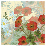 Summer Poppies II