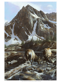 Mountainside Elk II