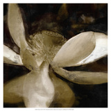 Bronze Lily VI