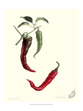 Peppers