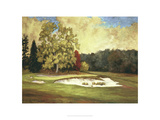After the Rain at Merion