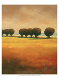 Pollard Willow II