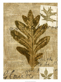 Leaf Collage I