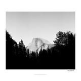 Half Dome in Trees