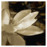 Bronze Lily IV
