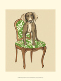 Pampered Pet IV