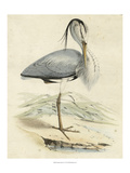 Antique Heron IV