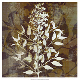 Prairie Mix I