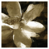 Bronze Lily III