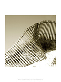 Fences in the Sand III