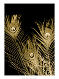 Plumes d'Or I