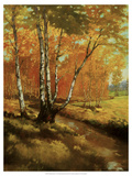 Woodland Stream I