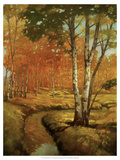 Woodland Stream II