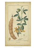 Vintage Turpin Botanical VIII