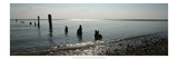 Beach Study I