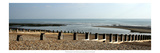 Beach Study IV