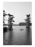 Riverscape II