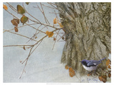 Late Snow Warbler
