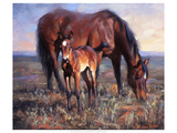 The Bay Filly