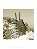 Fences in the Sand I