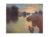 Evening Wetlands