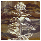 Prairie Mix VI