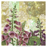 Foxglove Meadow I