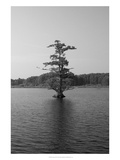Riverscape I