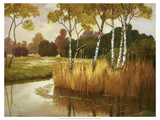 Reeds  Birches and Water II