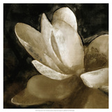 Bronze Lily V
