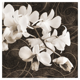 Orchid and Swirls II