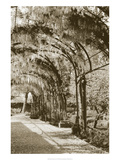 Queen's Garden  Kew  UK