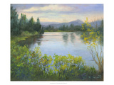 Oregon Reflections