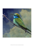 Bee Eater