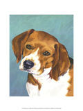 Dog Portrait  Beagle