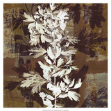 Prairie Mix III