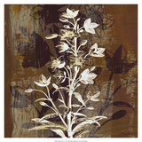 Prairie Mix V