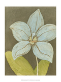 Orchid and Earth II