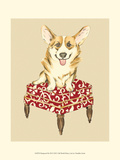 Pampered Pet III