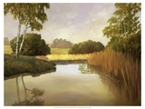 Reeds  Birches and Water I