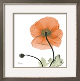 A Gift of Flowers in Orange