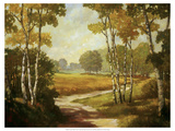 Country Walk I