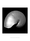 Nautilus Twin I