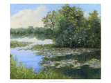 Water Lily Pond