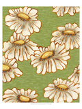 Mums on Green I