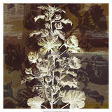 Prairie Mix IV