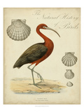 Heron Anthology II