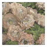 Non-embellished Ballerina Roses II