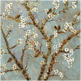 Grey Blossoms