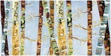 Bark Abstract
